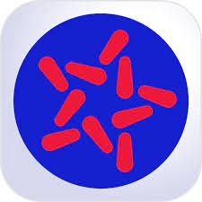 Ngân hàng Quân Đội